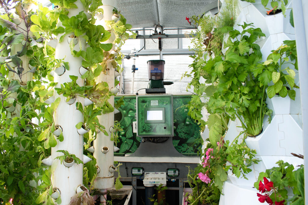Automated Aquaponics Greenhouse